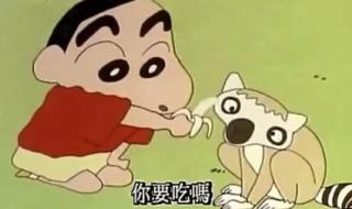 蜡笔小新帮助隔壁的大婶是哪一集 蜡笔小新森林大冒险