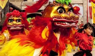 老鸭子和臭黄金炖汤的功效 世界上最古老的鸭子