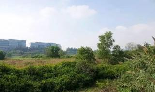 昆明华侨城滨水湿地公园门票 深圳华侨城湿地公园