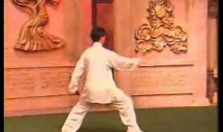 陈正雷老架一路教学