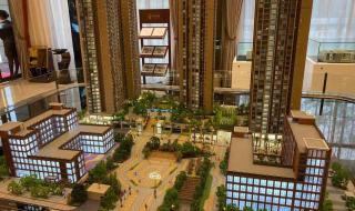 深圳学区房价格跳水