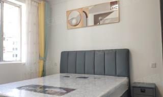 一室一厅出租500元