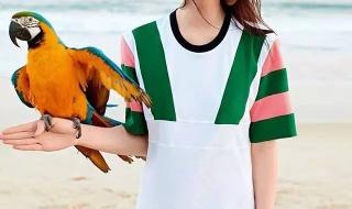 维多利亚的秘密2009 维多利亚的秘密2009