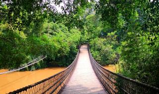 良凤江森林公园要不要门票呢 良凤江国家森林公园