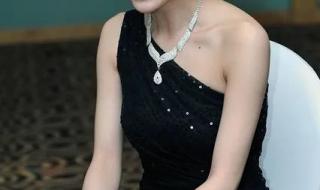 温峥嵘简历 温峥嵘简历