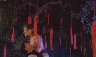 徐锦江的全部电影 徐锦江的全部电影