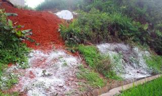 上海市三门中学 上海市三门中学