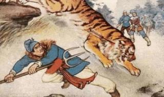 奥运会有多少个项目 奥运会都有哪些项目