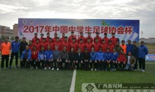 中国有多少足球队参加世界杯 中资球队有哪些