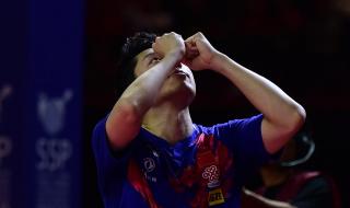 中国乒乓第一个男单冠军 十四届全运会乒乓球男子单打冠军